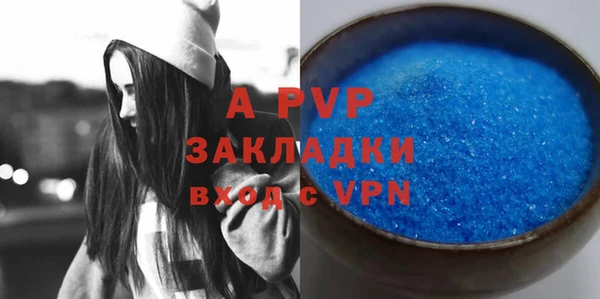индика Переславль-Залесский