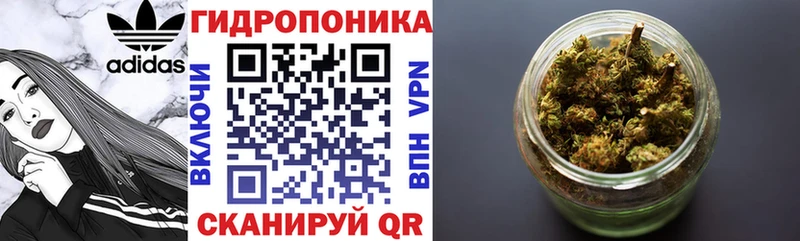 mega зеркало  что такое наркотик  Агрыз  Конопля ГИДРОПОН 